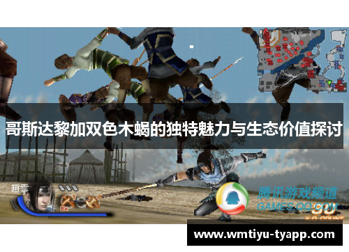 哥斯达黎加双色木蝎的独特魅力与生态价值探讨